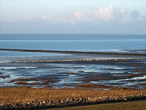 Dike and mudflat landscape on the North Frisian coast of Friedrichskoog