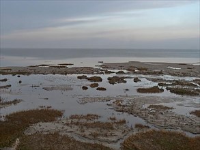Dike and mudflat landscape on the North Frisian coast of Friedrichskoog