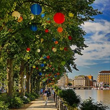The trees on Ballindamm by the Inner Alster Lake are decorated with lanterns at Hamburg's summer gardens