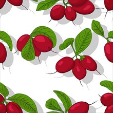 Miracle fruits repeating pattern