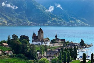 Spiez Castle