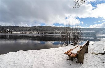 Snowy bench in front of lake in winter