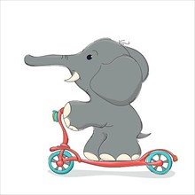 Elphant riding a scooter