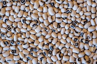 Dried black eyed beans as background