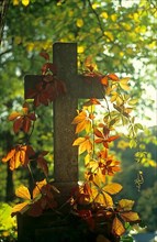 Grave cross with Wilderwein in the backlight