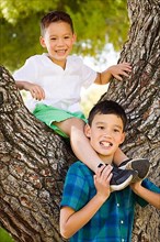 Outdoor portrait of biracial chinese and caucasian brothers having fun climbing a tree