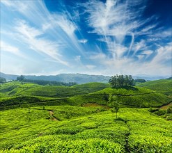 Indian tea concept background