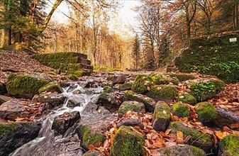 Landscape photograph of a small stream with stones and leaves in autumn