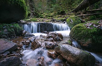 Long exposure of a small waterfall in the forest