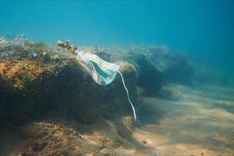 An old covid mask lying on the sea floor