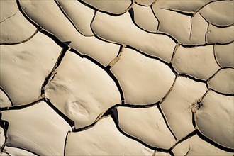 Mud patterns formed due to drought in a dry river bed