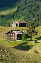 Farm near Hirschegg