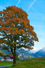 Autumn in Hintersteintal