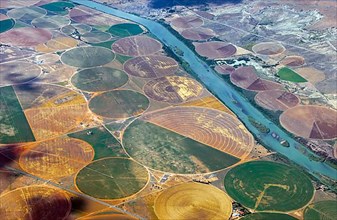 Irrigation of fields on the Orange River in South Africa