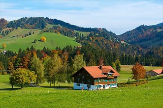 Farm near Oberstaufen