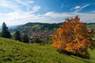 Oberstaufen