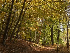 Autumn hiking trail on the Werder