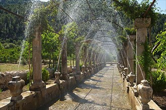 Water features