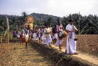 Musicians in front of decorated elephants walking through the narrow ridges of paddy field in Uthralikavu Pooram festival in Wadakanchery near Thrissur or Trichur