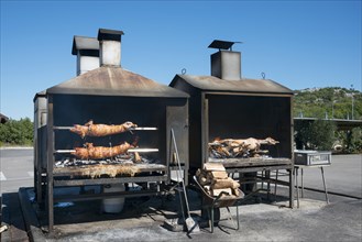 Suckling pig and lamb on the grill