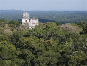 View of the ancient Mayan ruined city and lowland tropical forest