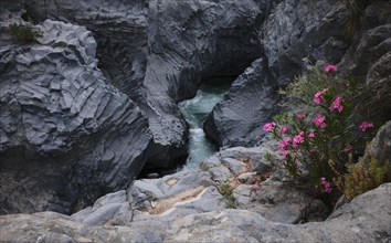 La Sorgente di Venere