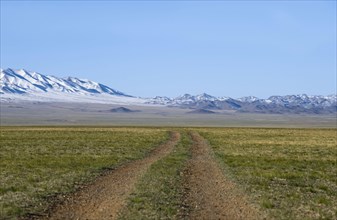 View of dirt road over steppe-grassland habitat
