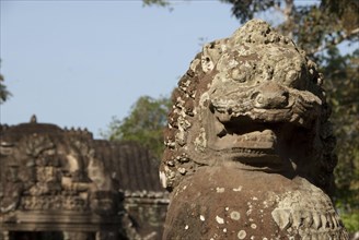 Protective lion statue in the ruins of the Khmer temple