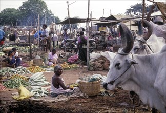 Weekly market in Thudiyalur