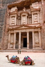 Petra Treasure House