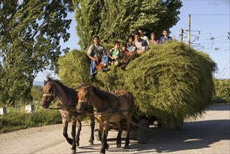 Roma gypsy family bringing in hay with horse and cart