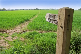 Public footpath sign at edge of arable field