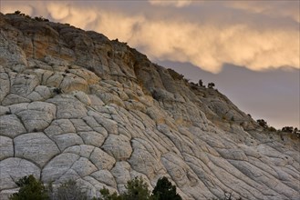 Spectacular cross-bedded Navajo sandstone rock