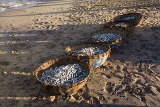 Fish baskets on Negombo beach