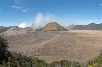 View across plain towards volcanoes