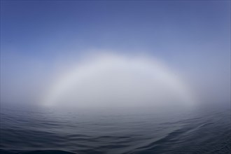 Bow of fog over calm sea