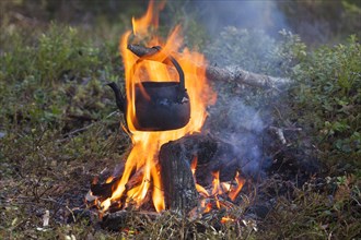 Blackened tin kettles boiling water over flames of campfire during hike