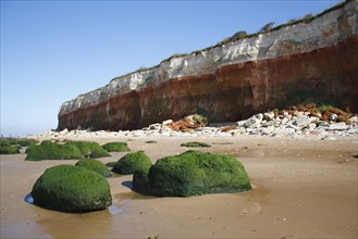 View of algae covered eroded boulders on beach at low tide