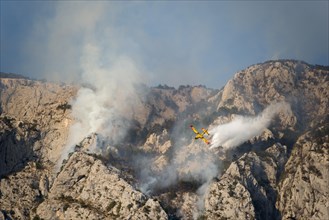 Firefighting aircraft in forest fire