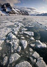 View of melting pack ice snow covered coastal mountains