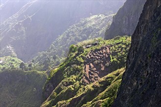 Small terraced fields on the hillside in the Ribeira Grande valley on the island of Santo Antao