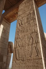 Reliefs on pillar