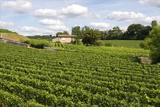 View over the vineyards around the town of St. Emilion in the Bordeaux region of France