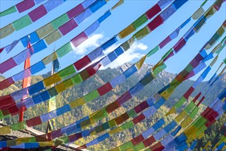 Prayer flags in the Tibetan village of Shuzheng