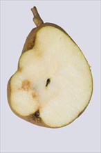 Fruit deformity and internal hard growths on a Doyenne du Comice pear caused by pear stone virus