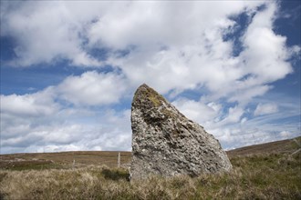 Old standing stone