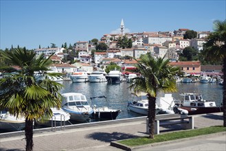 Old town and harbour