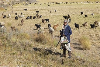Old Tajik woman herding goats
