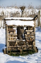'Bug hotel' covered in snow
