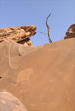 Rock art of the San Bushmen